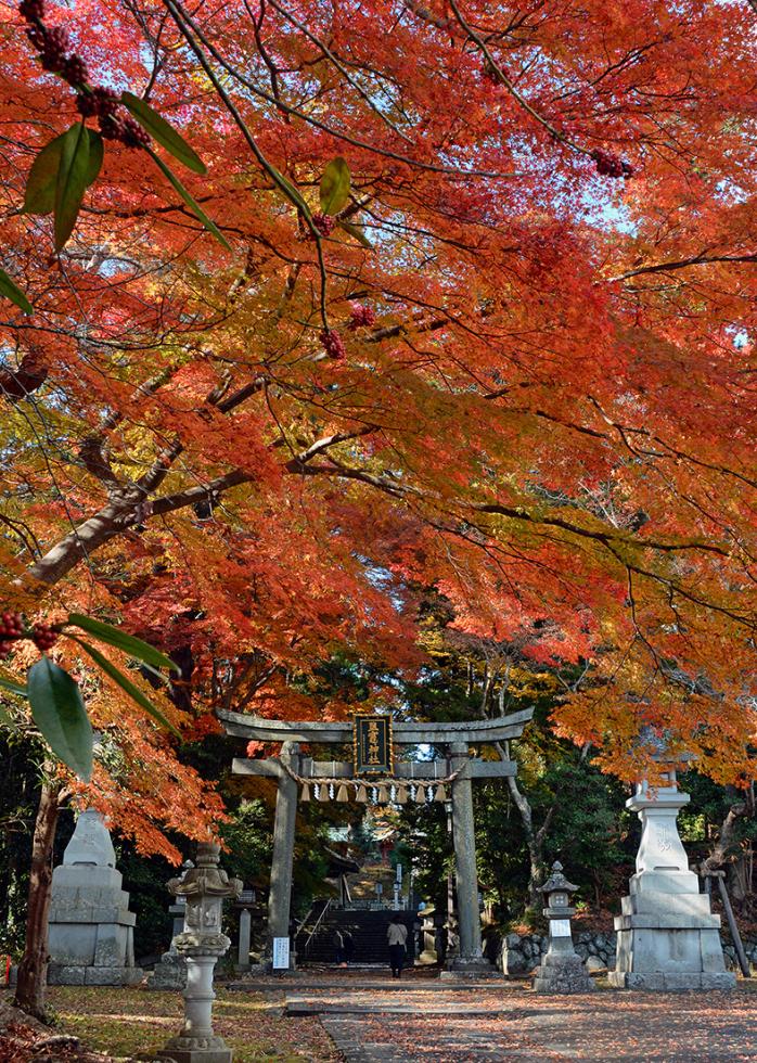 特選 $list.image_title[0]}